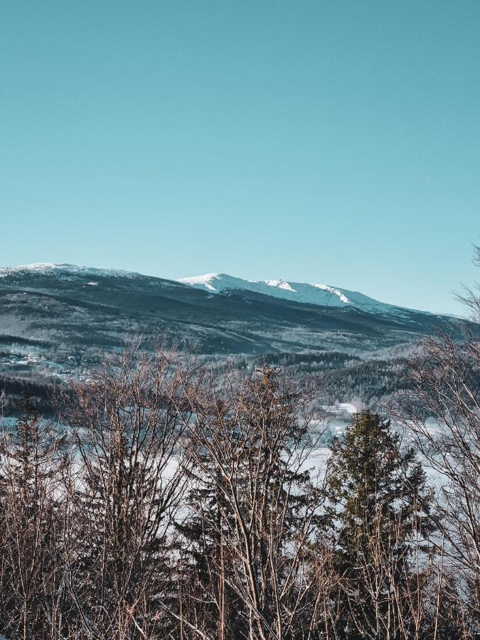 Domek Drwala K. Karpacza Villa Sosnowka  Luaran gambar